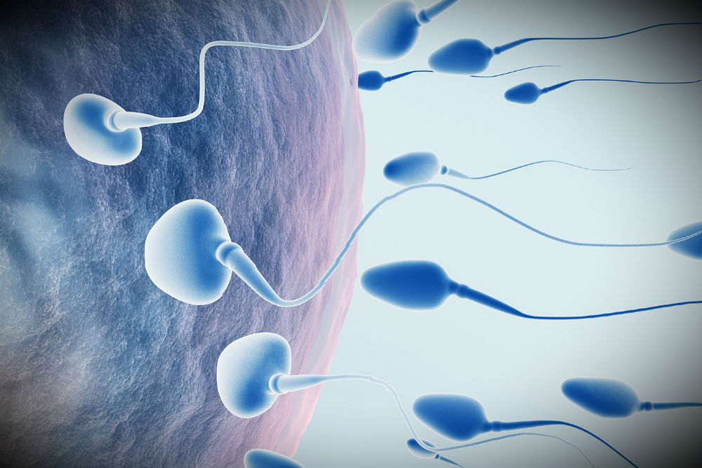 Спермограмма - 162 отзыва в Туле